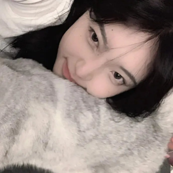 不完美的正义